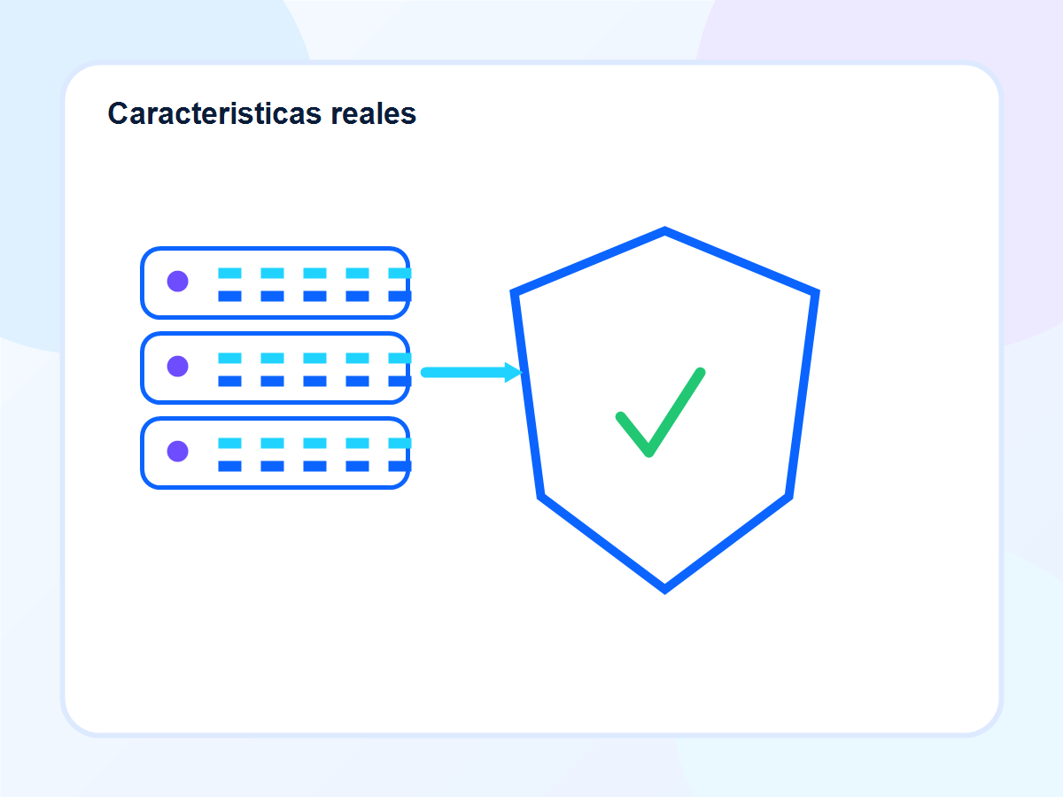 Caracteristicas de Hoxera explicadas con NVMe, SSL, backups, correo y soporte